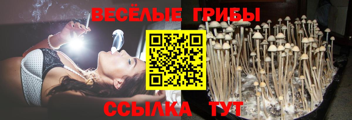 Псилоцибиновые грибы мухоморы  Вход с VPN  Кировск 