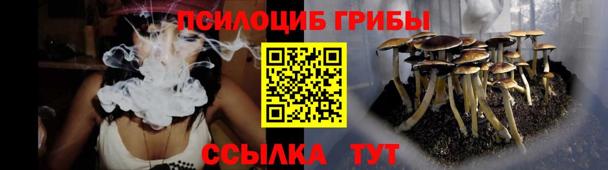 Псилоцибиновые грибы Magic Shrooms Кировск